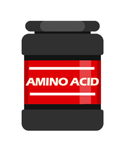 Amino Acid