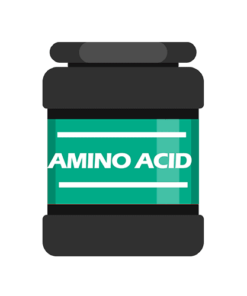 Amino Acid