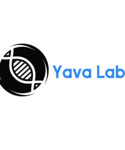 Yava Labs